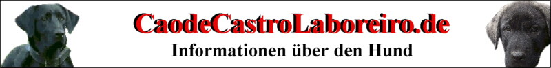 Der Cao de Castro Laboreiro Infos zur Rasse